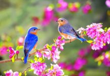 Што се случувало низ светот на 21 март 21 mart