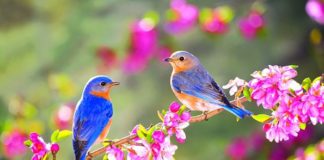 Што се случувало низ светот на 21 март 21 mart