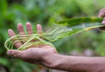 Материјали кои можат да ја спасат планетата Земја