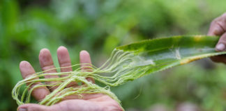 Материјали кои можат да ја спасат планетата Земја