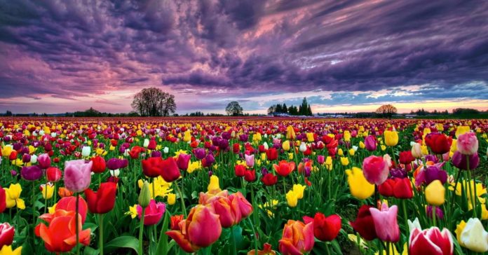 reportazi pics6 reportazi