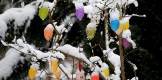 Предвелигденска фотографија : „Снежни“ јајца“