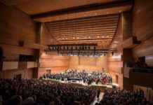 И во пандемија Македонската Филхармонија ја заокружи предвидената концертна програма- Кога се сака и умее се е можно