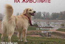 Трибина за правата на животните