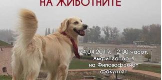 Трибина за правата на животните