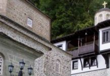 Интервју со Ленка П. Гогоска- Пишувањето е мојот живот