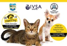 Денови на вашето милениче