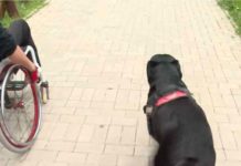 Ахеолошкиот музеј на Македонија со новина која ги охрабрува лицата со попреченост