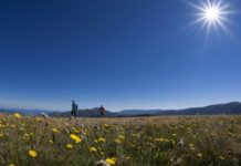 Во потрага по убавините на Австралија – “Alpine National Park’