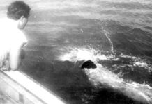 9 септември 1969- Атина Бојаџи станува првата жена која го препливува Ла Манш