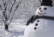 Време- Од вечерва зима со снег во Македонија