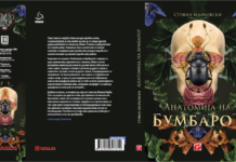 Објавен романот „Анатомија на бумбарот“ од Стефан Марковски