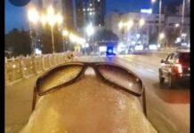 ТРАЈКО ЈОРДАНОВСКИ, РЕЖИСЕР: Имам свои убави пердуви на паун, не би се красел со туѓи