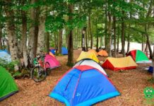 На 18 и 19 септември- патфестивалот „Крушево низ корија“