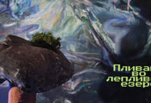 Вечерва во МКЦ „Пливање во лепливото езеро“