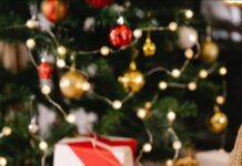 КОГА РАЗУМОТ НАДВЛАДУВА: Гест на скромност, новогодишно украсување на градот со декорациите од минатите години