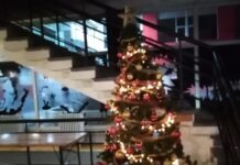 Директорот на МКЦ Русе Арсов си поднесе оставка