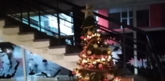 Директорот на МКЦ Русе Арсов си поднесе оставка