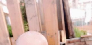 САШО А. РИСТОВСКИ: Борците секогаш победуваат, јас сум еден од нив!