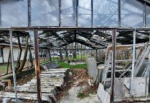 Урбани градини: сврзни ткива, проект на Ана Лазаревска