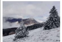 Конкурс за фотографија “Кожуф во зима”