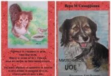 Кучето Џое си доби сликовница