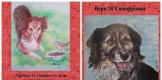 Кучето Џое си доби сликовница