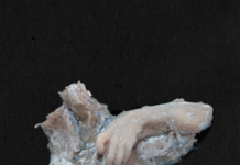 Сите наши сенки, лица и опачини…