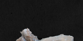 Сите наши сенки, лица и опачини…