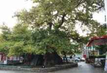 Занимливости за Македонија од содржините на Википедија