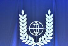 СВП 2022: Доловен потретот на Таникава