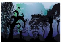 Се одржа 14. издание на “БОШ”