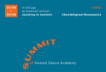 “Неврзани движења” во Струга