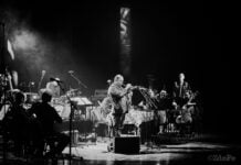 Скопје покриено со најдобра музика: Џезот кој го разбраа сите!