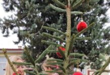 Учениците го украсија ООУ “Ристо Крле” од Кадино