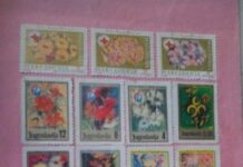 30 години од издавање на цветната поштенска марка