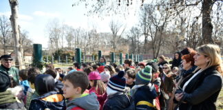 ЗОО СКОПЈЕ- НЕ БЕВ ВО АФРИКА А ВИДОВ НИЛСКИ КОЊ