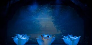 На 28 февруари и на Втори март: „Жизел“ во Опера и балет