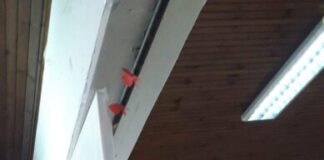 Со поезија и уметнички цртежи, прославен Меѓународниот ден на мајчиниот јазик