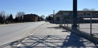 ЕКО КУЛТУРА: Нови дрвја долж гевгелиската улица „Железничка”