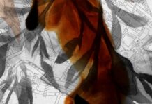 Христијан Томаноски со изложба „Издигнување“ во Охрид