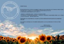 В сабота  ќе се одржат 23 Пелагониски културно-научни средби