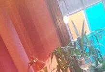 Промовиран новиот календар на Скопскиот џез фестивал