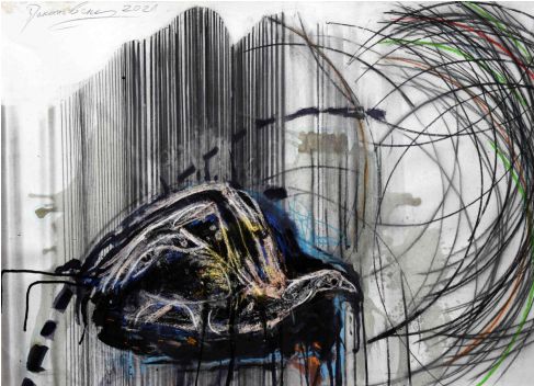 Screenshot_20240228-141436