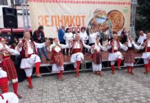 Денес појдете во Пробиштип, ве чека “Зелникот на баба”