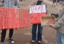 Мартинки како радост, полуматурантите од ОУ “Гоце Делчев” за пример