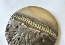 Медална скулптура на Надја Розева во Чифте амам