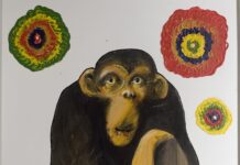 „Подобро на гранка отколку заглавен во лифт“ Мирослав Масин во Даут пашин амам