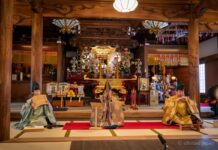 Ќе се слават 30 години дипломатски односи со Јапонија