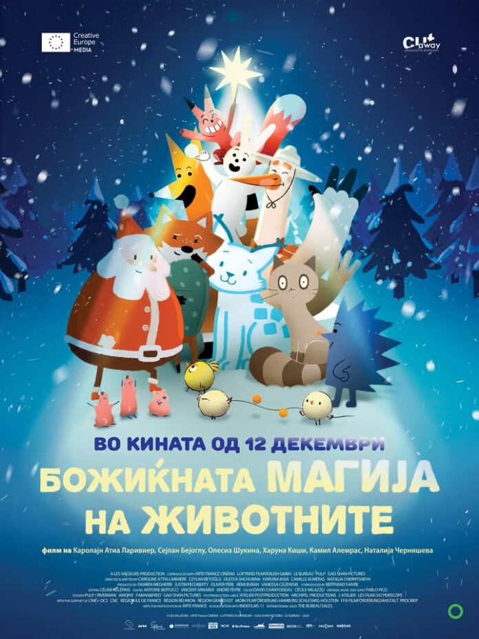 FB_IMG_1734106114803